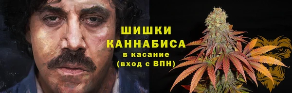 дурь Сатка