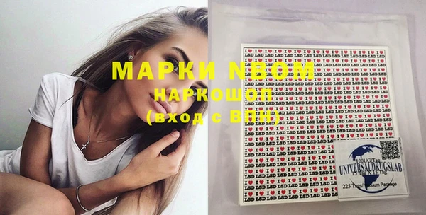 шишки Баксан