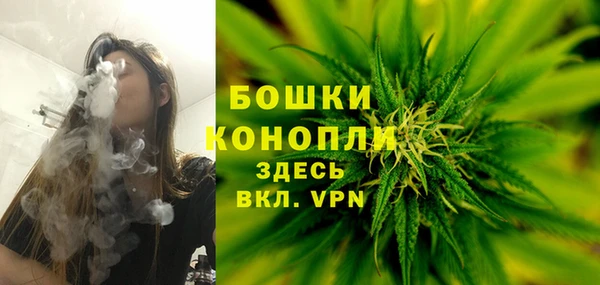 шишки Баксан