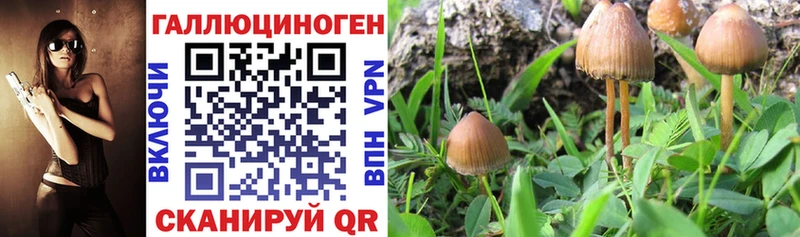мега рабочий сайт  дарнет шоп  Котельниково  Галлюциногенные грибы MAGIC MUSHROOMS 